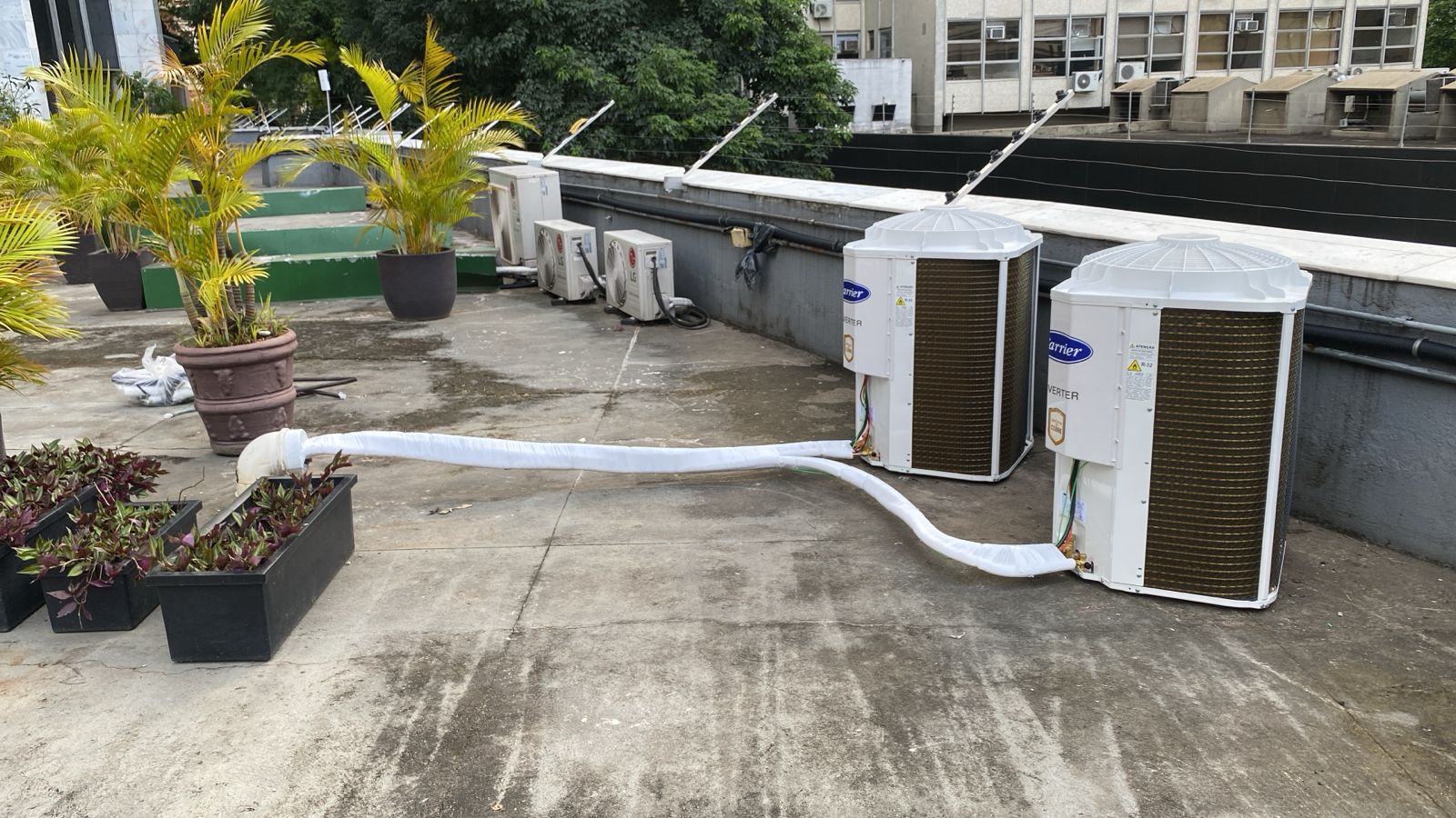 WhatsApp Image 2025-01-15 at 09.44.28.jpeg